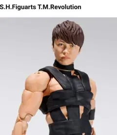 【未開封】S.H.Figuarts T.M.Revolution　可動フィギュアのサムネイル