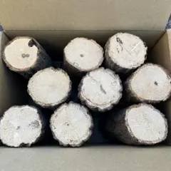 Item thumbnail for item d889a5b8-1a90-42ce-9fc3-6f7622c9be7a