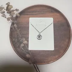 Item thumbnail for item 268e7fe9-1a16-49f2-a820-f3c78925c739