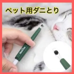 Item thumbnail for item 6cef2dd5-fc3d-4c19-b134-34fd816a6339