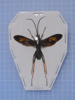 服飾さん様 リクエスト 3点 まとめ商品