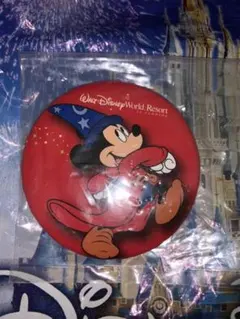 ウォルトディズニーワールド 限定 缶バッジ