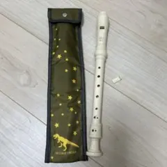 야마하 리코더