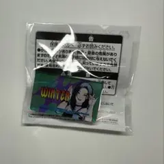 aespa おなまえアクリルバッジ Rich Man カリナ セット - メルカリ