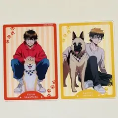 ダイヤのA ビッグアクリルスタンド 沢村栄純 御幸一也 GIGO限定 - メルカリ