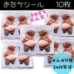 10장 배 씰 시바개 푸니푸니 씰 Pukupuku Seal 3D 입체 씰