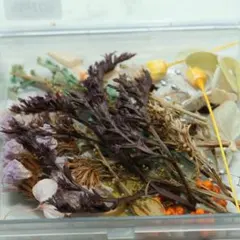 ドライフラワー　プリザーブドフラワー 花材セット ダークカラー　G20