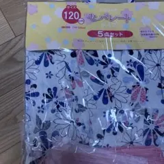 Item thumbnail for item a45696df-1bfb-4e17-88b1-a1ca53be1d98