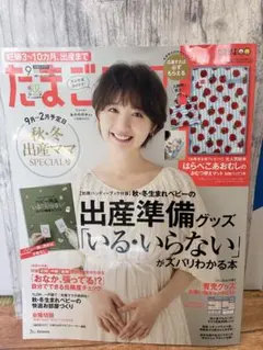 Item thumbnail for item 6c1fe733-c90e-4ed3-b538-37292a664002