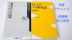 Item thumbnail for item 63ce49d2-8636-4396-b835-f36efdcf1ed1