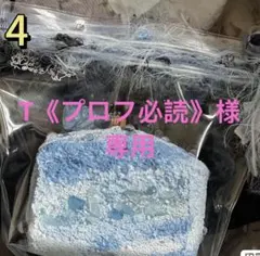 T《プロフ必読》様専用ページ