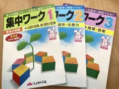 しょうがく社【集中ワーク1.2.3 セット】 小学校受験