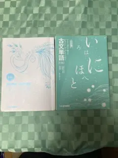 三訂版　古文単語330 、入試頻出漢字➕現代文重要語彙TOP2500の2冊
