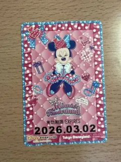 ディズニー パルパルーザ ミニー ファンダーランド フリーきっぷ リゾートライン