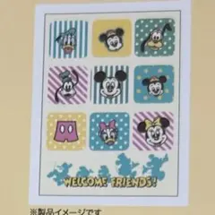 新品 ディズニー ミッキー ミニー タオルケット ハーフサイズ 子供 お昼寝