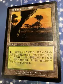 吹きさらしの荒野 (ONS) 日本語版
