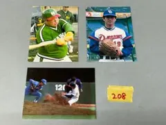 の*ん様 カルビー プロ野球カード 白熱！開幕戦シリーズ 3枚セット 【208】