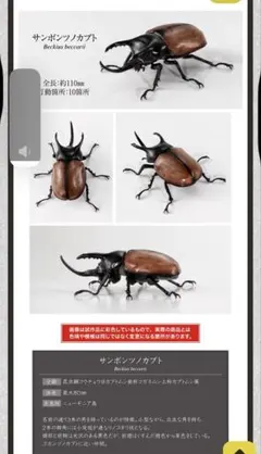 *さささんさんさん*様 リクエスト 2点 まとめ商品