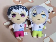 新品★アイナナ【Re:vale】RTI★きらどるぬいぐるみ★2点セット メルカリ