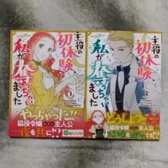 mido様 リクエスト 2点 まとめ商品