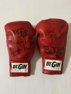 2026年最新】ピーターアーツサインの人気アイテム - メルカリ