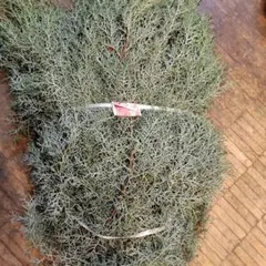 ここあ様 リクエスト 2点 まとめ商品