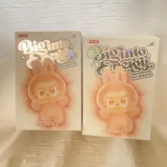 s*k様 ラブブ Big into Energy