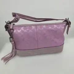 Item thumbnail for item 3161845f-a2b1-4ee2-9fe2-9735ef354fae