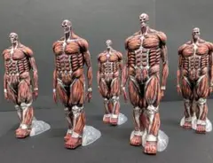 2025年最新】進撃の巨人 フィギュア 地ならしの人気アイテム - メルカリ