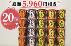 【20個❣️】日清 カレーメシ ハヤシメシ 人気５種 詰め合わせ まとめ売り❣️のサムネイル