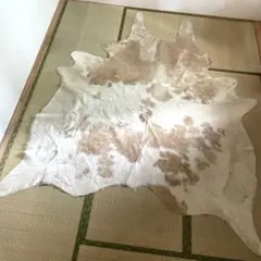 2025年最新】白熊 毛皮の人気アイテム - メルカリ