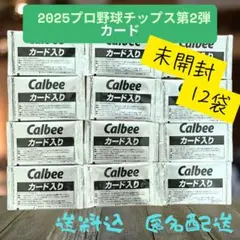 《未開封》プロ野球チップス2025 第２弾 カード 24枚 12袋