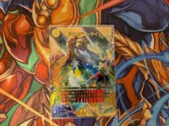 ドラゴンズサイン ホイル 4枚セット C7554 - メルカリ