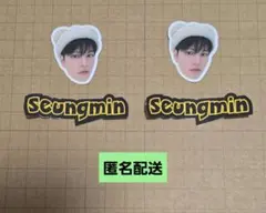 Stray Kids exhibition フレークシール　 スンミン　スキズ