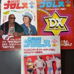 DELUXEプロレス1980年 4~6月号セット