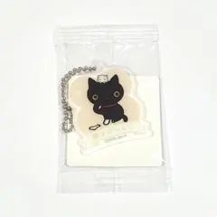 サンエックスユニバース　アクリミニ　アクリルキーチェーン　靴下にゃんこのサムネイル