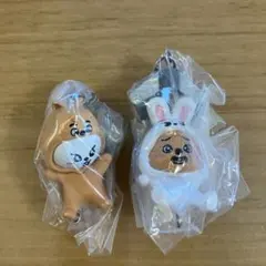 SKZOO ガチャ　つまつな2 リノ&ハン