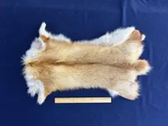 毛皮】赤狐 原反 ジャンク品 北海道産 ♯サ - メルカリ
