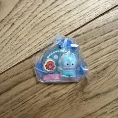 サンリオ パッケージチャーム ハンギョドン
