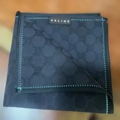 Item thumbnail for item 975e7379-077b-4deb-a399-e6d3a0f69c0a