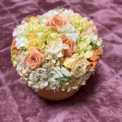 ニコライバーグマン ガーデニング