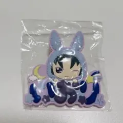 アイナナ 和泉一織 和泉三月 ネームバッジ 缶バッジ まとめ売り