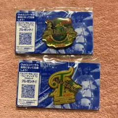 USJ ピンバッジ 2個