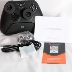 BIGBIG WON GALE HALL ゲームコントローラー