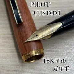美品 PILOT パイロット 万年筆 ペン先18K-750 F細字 ワインレッド