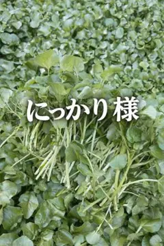 にっかり様専用ページ