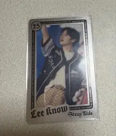 Stray Kids リノ　ランダムライブフォトカード