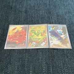 ミジュマル・ツタージャ・ポカブ ARセット