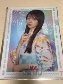 れ*ん様 乃木坂46 矢田萌華S賞アクリルスタンド NOGIめくり 会場限定 Amazon.co.jp: 乃木坂46 賀喜遥香 NOGIめくり A賞 BIG アクリル