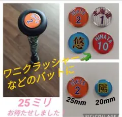 Item thumbnail for item 01f0b00a-d87d-4ae4-906d-b561e6366a86